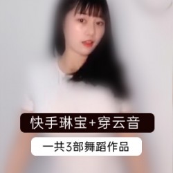 快手《琳宝》大车灯纪录片视频合集_赠快手穿云音！