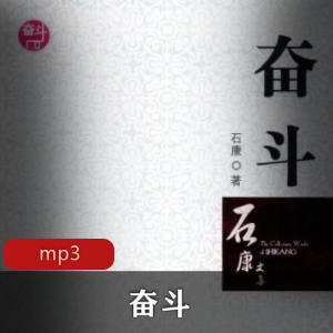 奋斗：有声小说原著