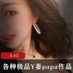 Y妻的精选作品合集