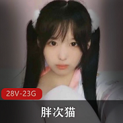 胖次猫资源合集：双马尾少女，少女袜子，23G视频
