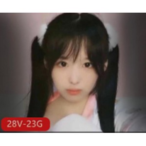 胖次猫资源合集：双马尾少女，少女袜子，23G视频