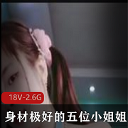 精选小姐姐自拍拍摄闺蜜S型露脸鲍鲍肛道具10V-4.4G