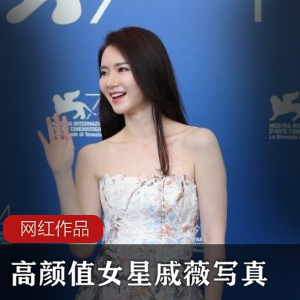 戚薇高颜值女星作品作品合集，89个视频83张照片，总大小2.73G