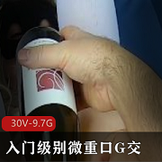 MsFine微口味重G交洋马小扩大合集30V9.7G