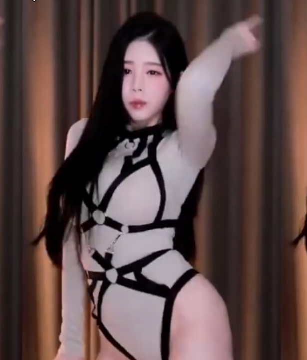 热舞女神BJ黑珍超清无水印直播合集268V52G百度盘