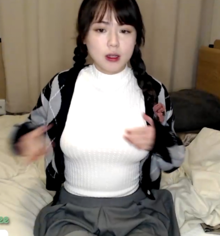 苏小婷全网独发视频合集，5版本18.65GB，百度盘下载