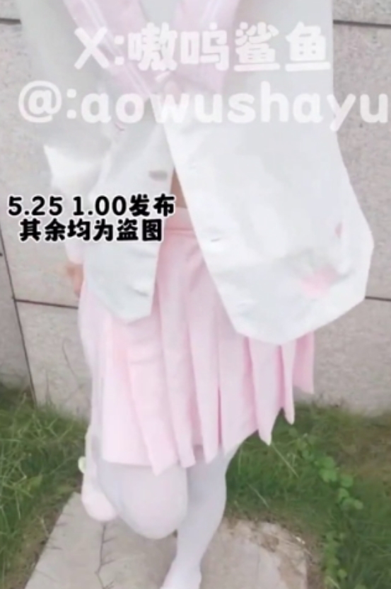 特技小狗：鲨鱼般游动，收获161次收藏