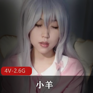 自拍平台迷人小羊最新合集4V2.6G，舞蹈道具秀，小电棍表演