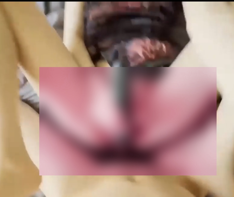 快手优质小情侣D先生和C小姐暴力互动美学合集6V2.28G