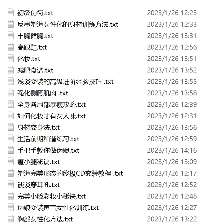 小伪娘群组伪娘教程神级23部128K