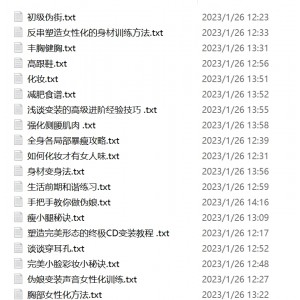 小伪娘群组伪娘教程神级23部128K