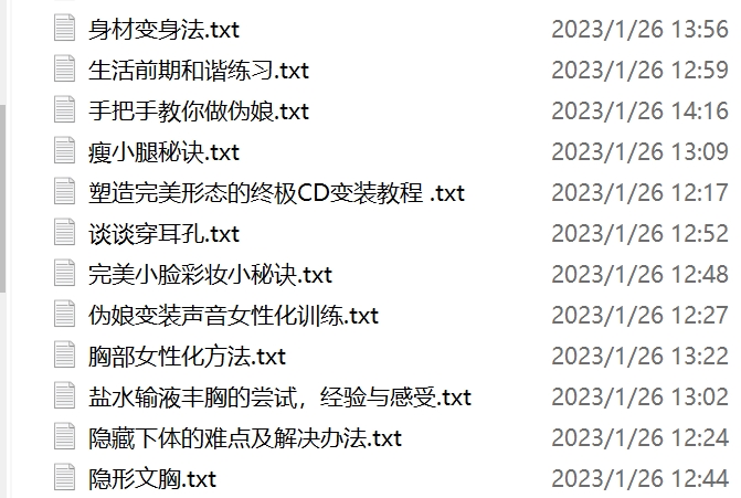 小伪娘群组伪娘教程神级23部128K