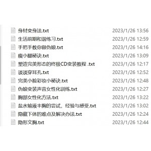 小伪娘群组伪娘教程神级23部128K