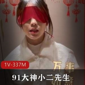 91小二先生超带感作品1部337M整活合集