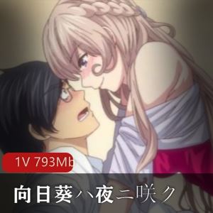 绅士站日系里番向日葵ハ夜ニ咲ク去码60帧88部50G太顶了